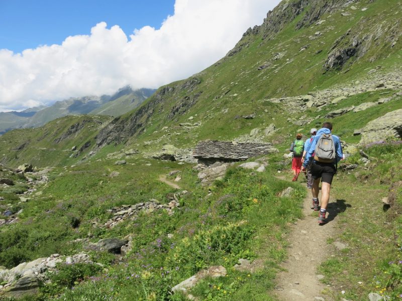 Summer in the mountains